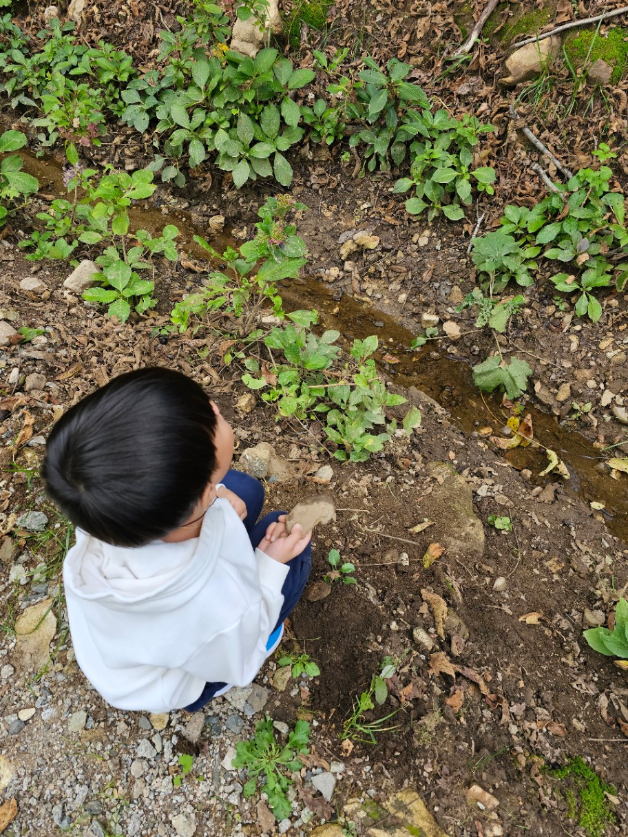 이것도 가드닝??^^