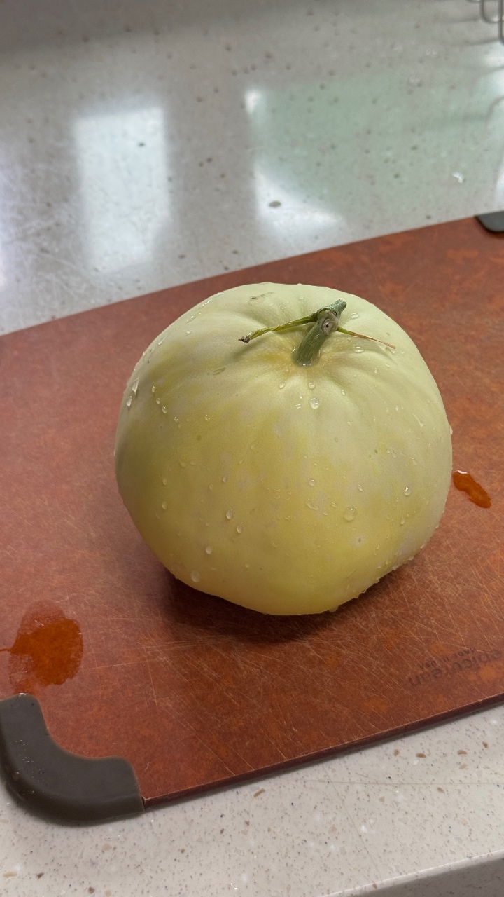 메론 참외??