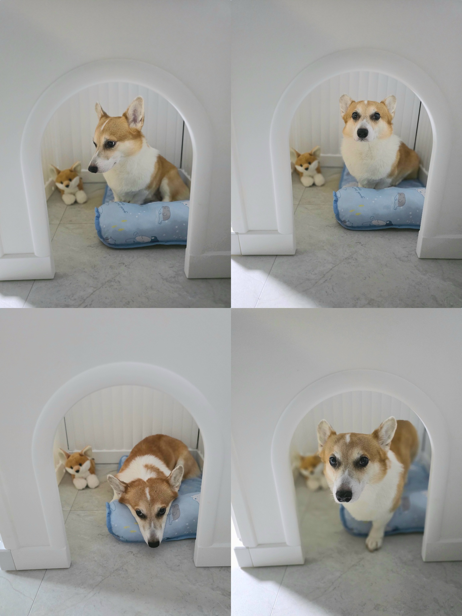 다이소에 동생이있네