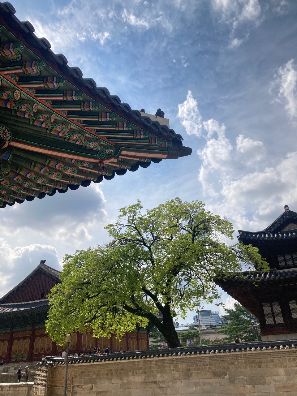 날씨 좋네요