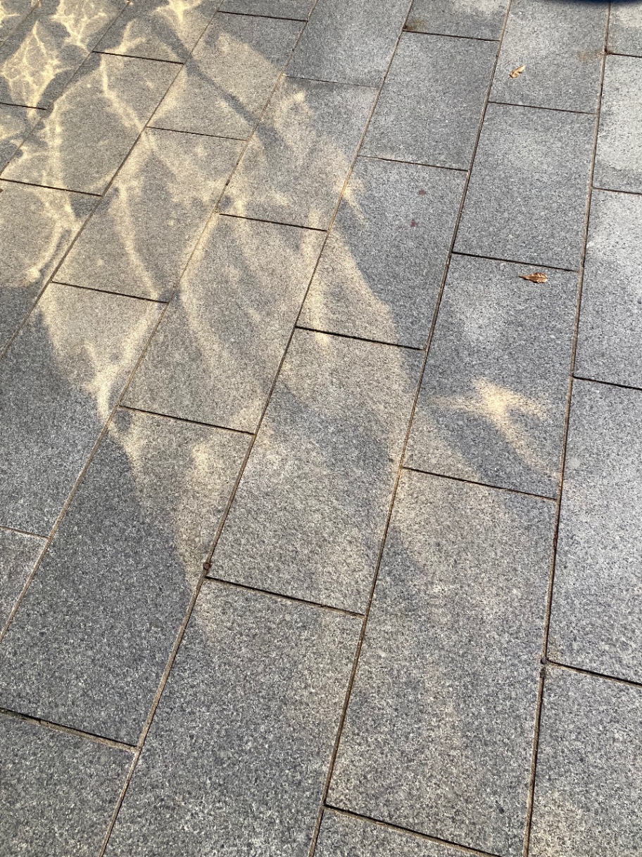 오늘 날씨