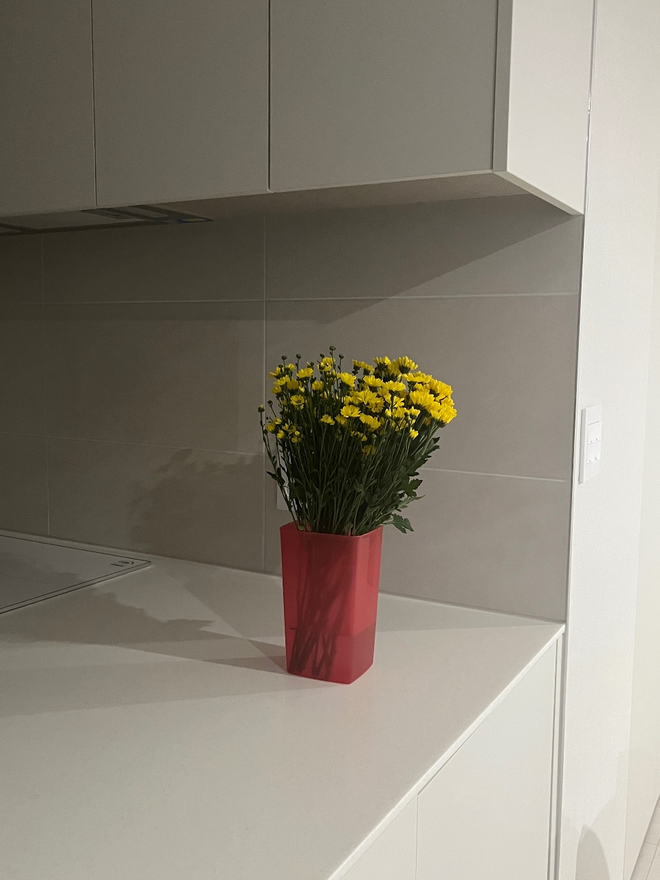 꽃선물 💐💐