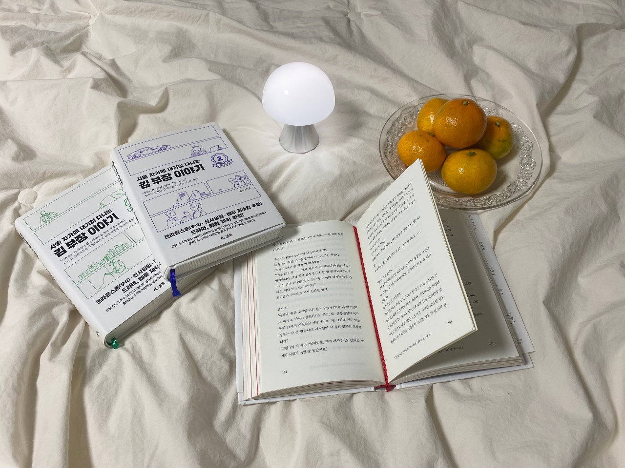📚온수매트 위에서 귤 먹으며 독서🍊
