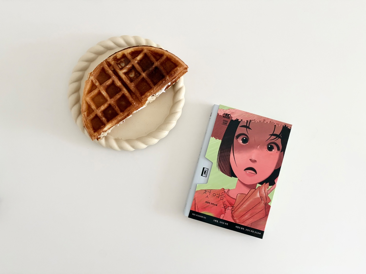 김금희 <첫 여름, 완주>🍃