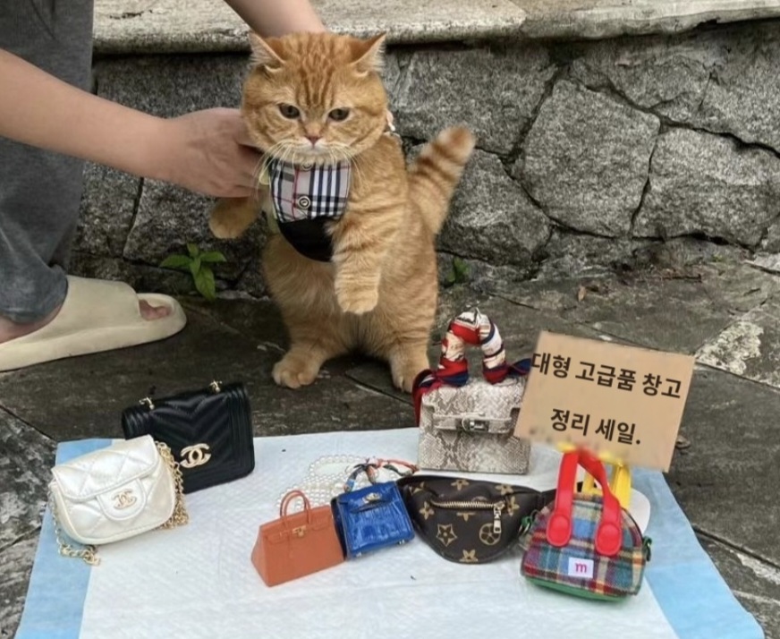 첨부파일