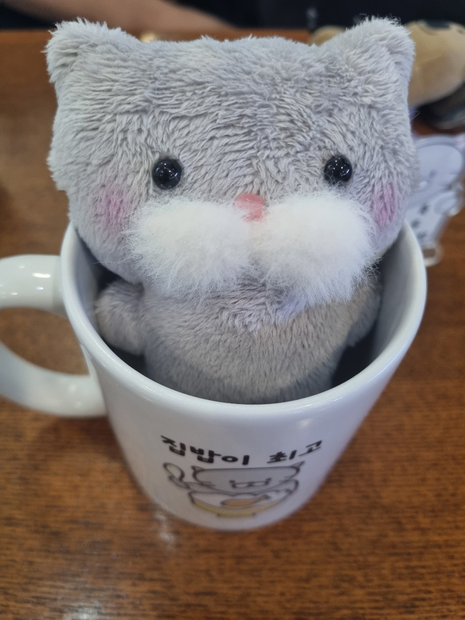 냐옹이 인형