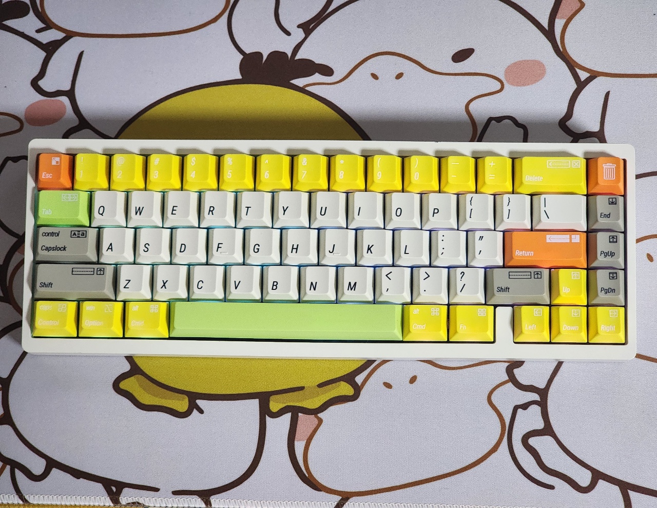 새로운 키보드!