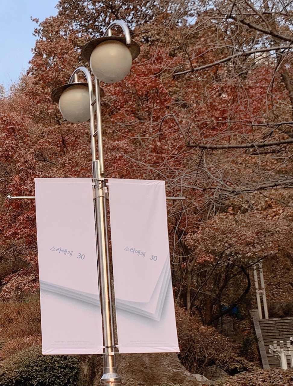 이소라 가수 좋아하는 분들 계시나요🎶