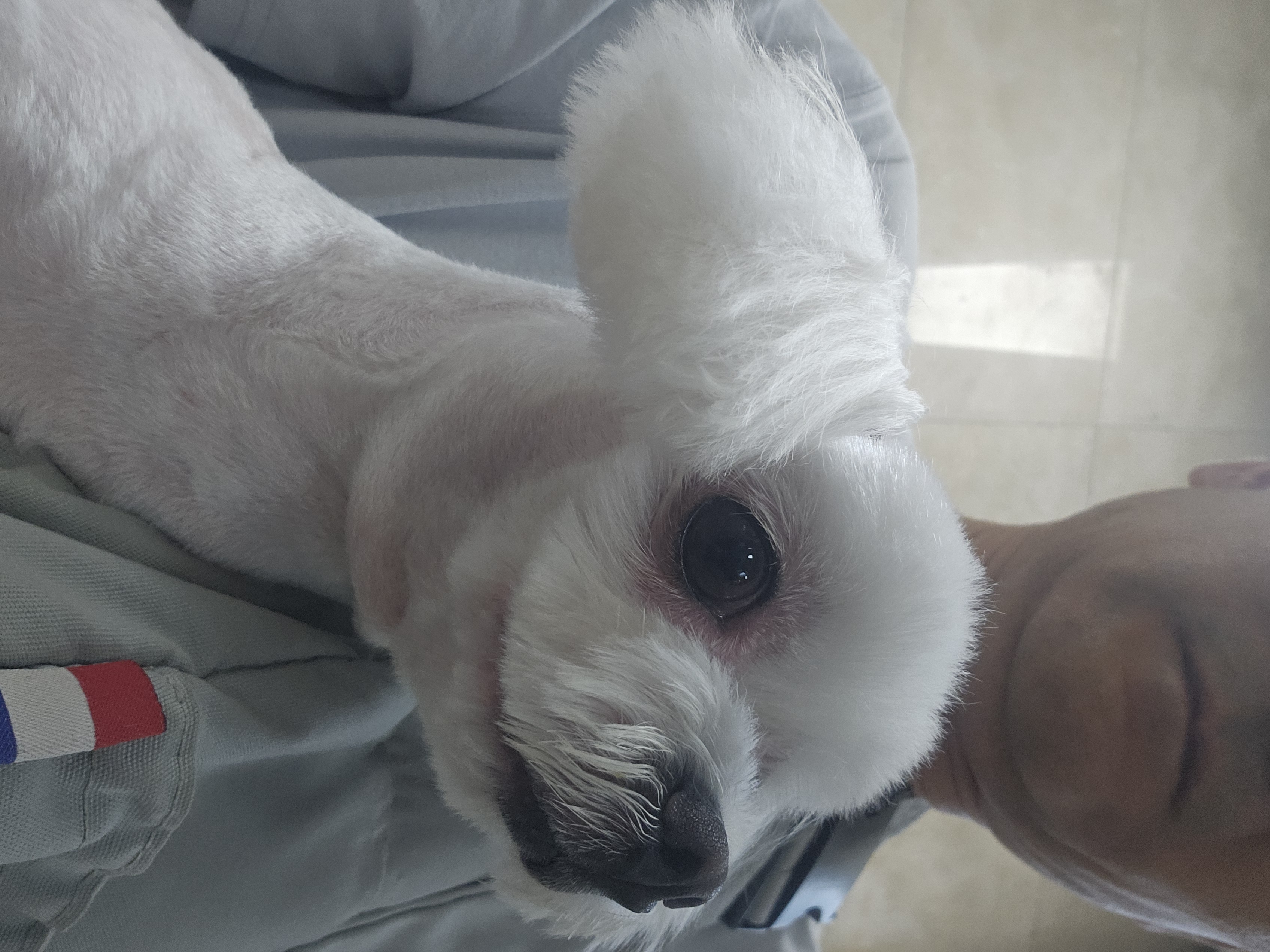 첨부파일