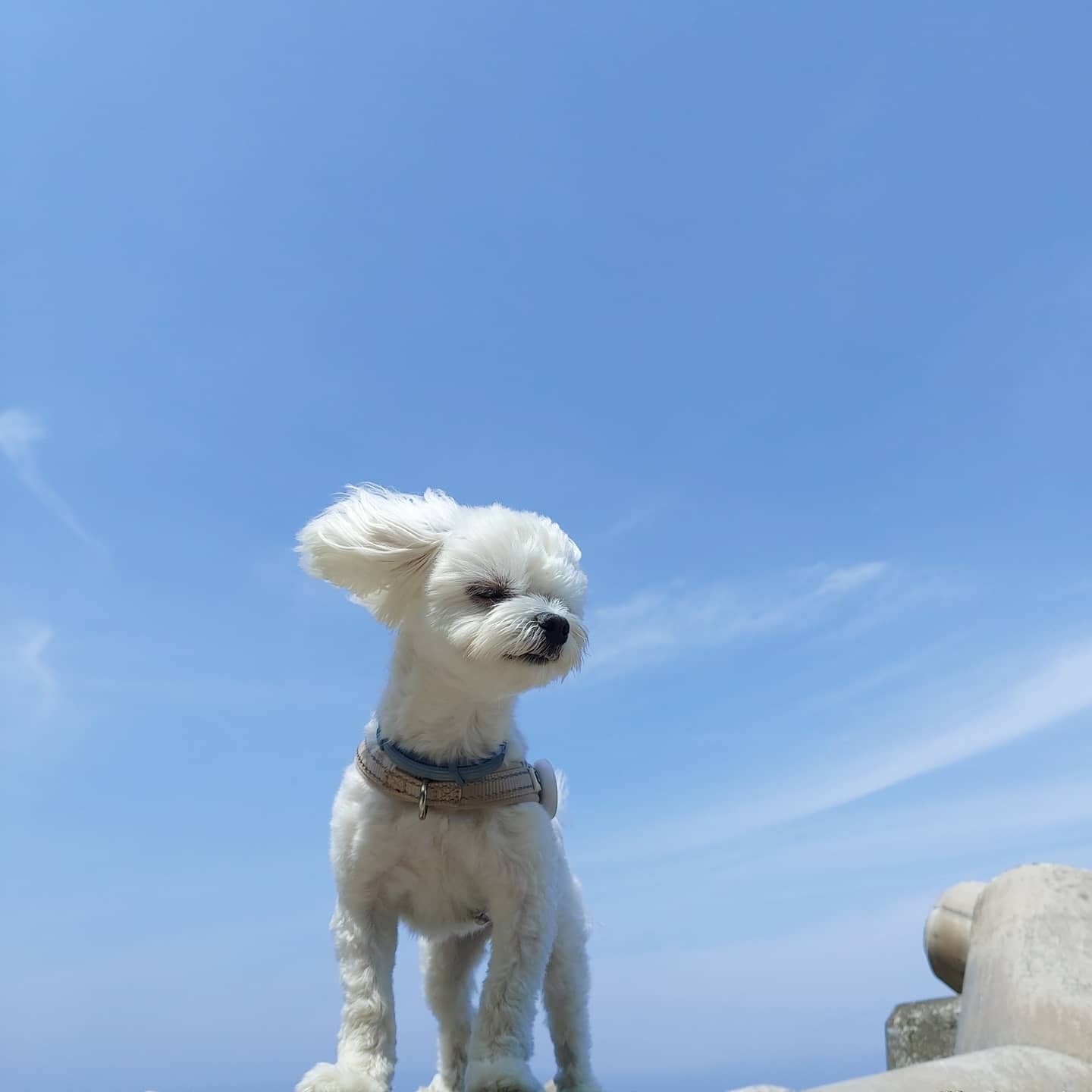 첨부파일