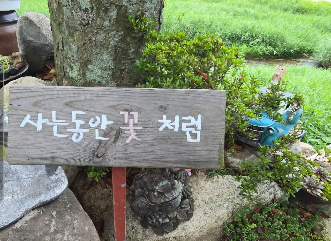 정원 나무 앞에 세워진 한글 글귀 목재 표지판과 장식품
