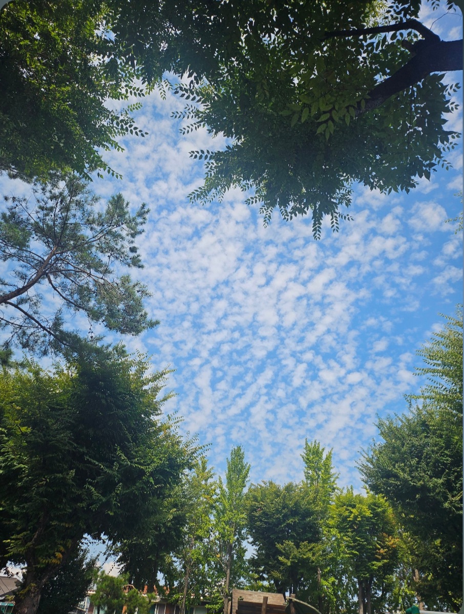 예쁜가을 💕 💜 💏 