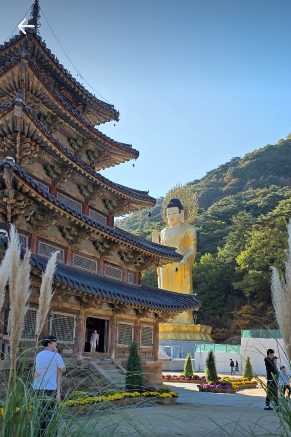 속리산 법주사~