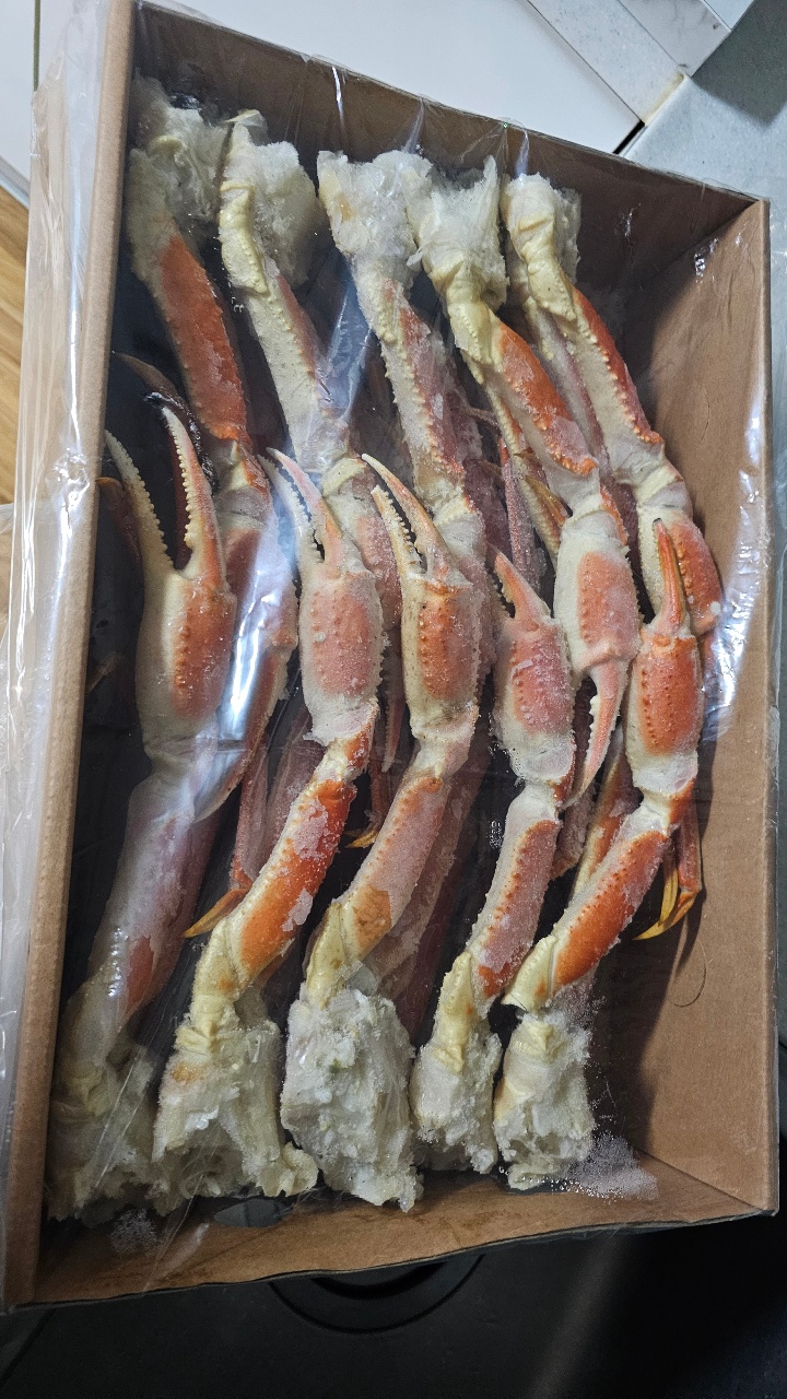 보일링크랩