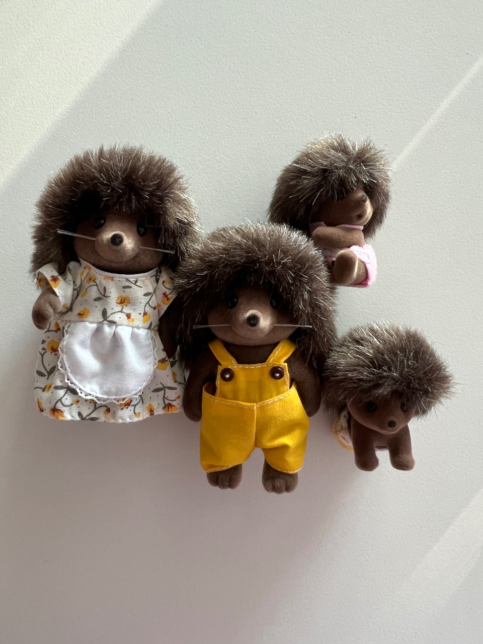 귀여운 고슴도치 자랑하러 ㅋㅋ🦔