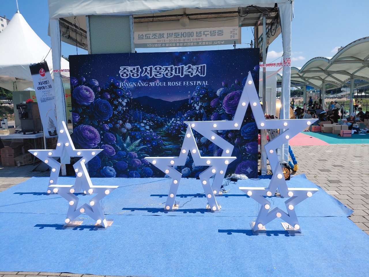 장미 축제 야외 행사장의 별 모양 조명 장식과 배경 패널