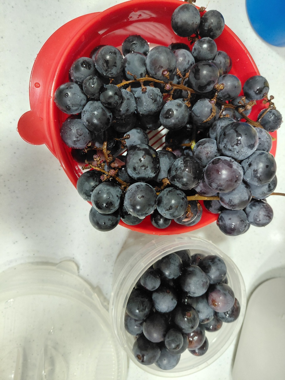 냉장고속 아픈포도 🍇
