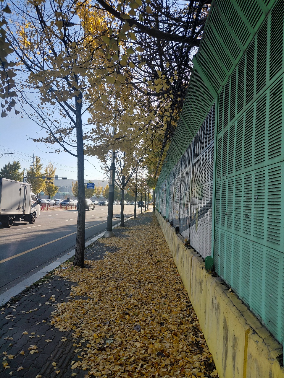 요즘 이야기👴
