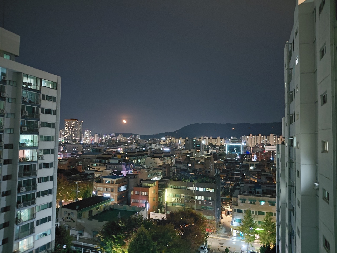 반달 🌓