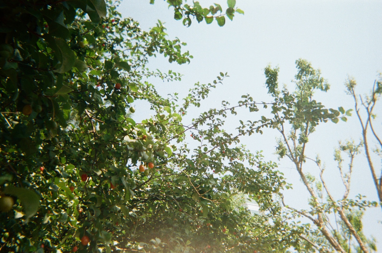 홈트/뷰티 카테고리