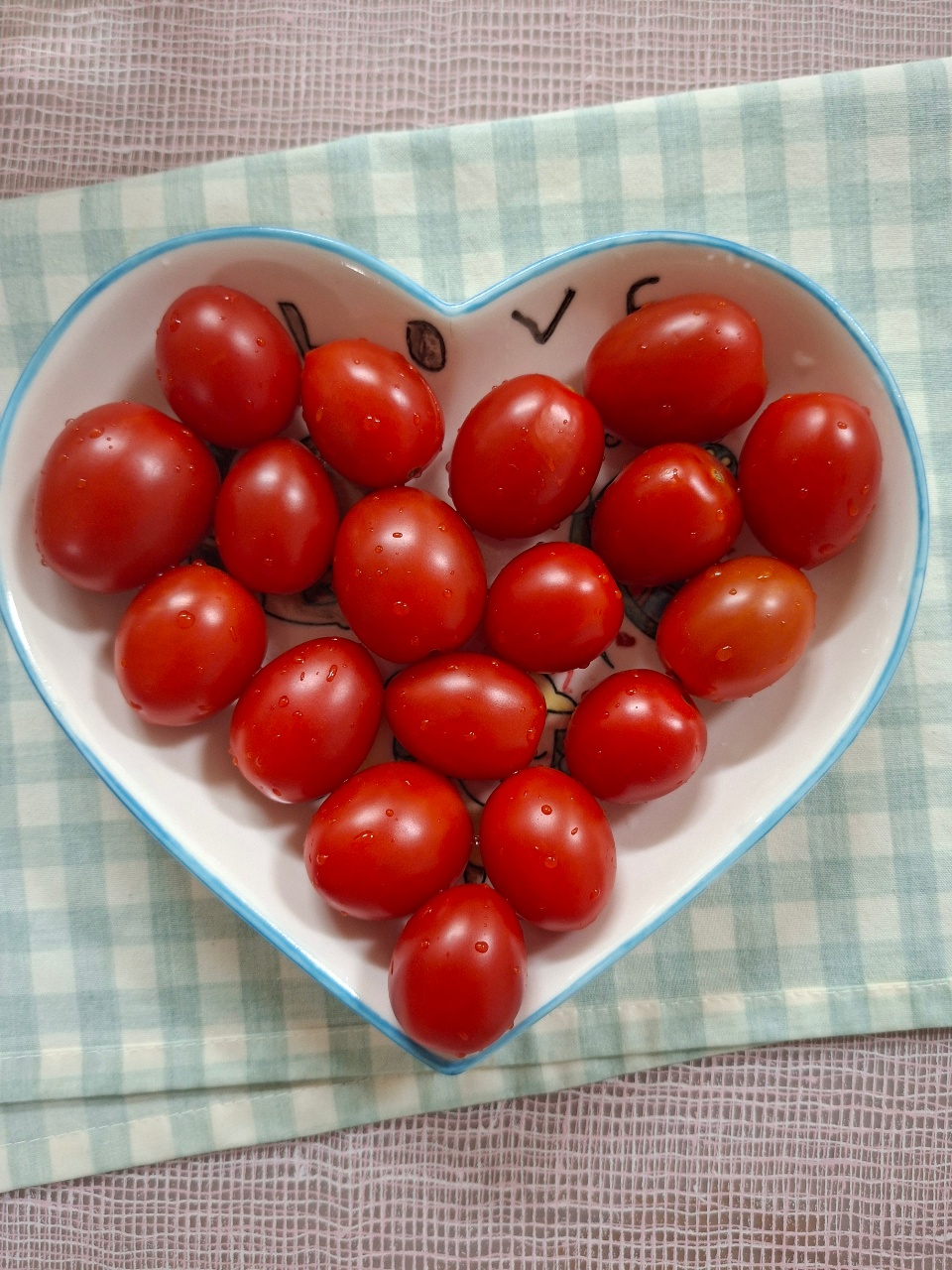 스테비아 방울 토마토🍅 