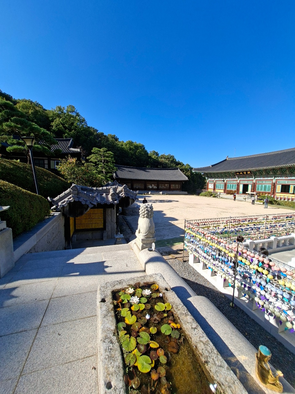 가을 산행 🍂 