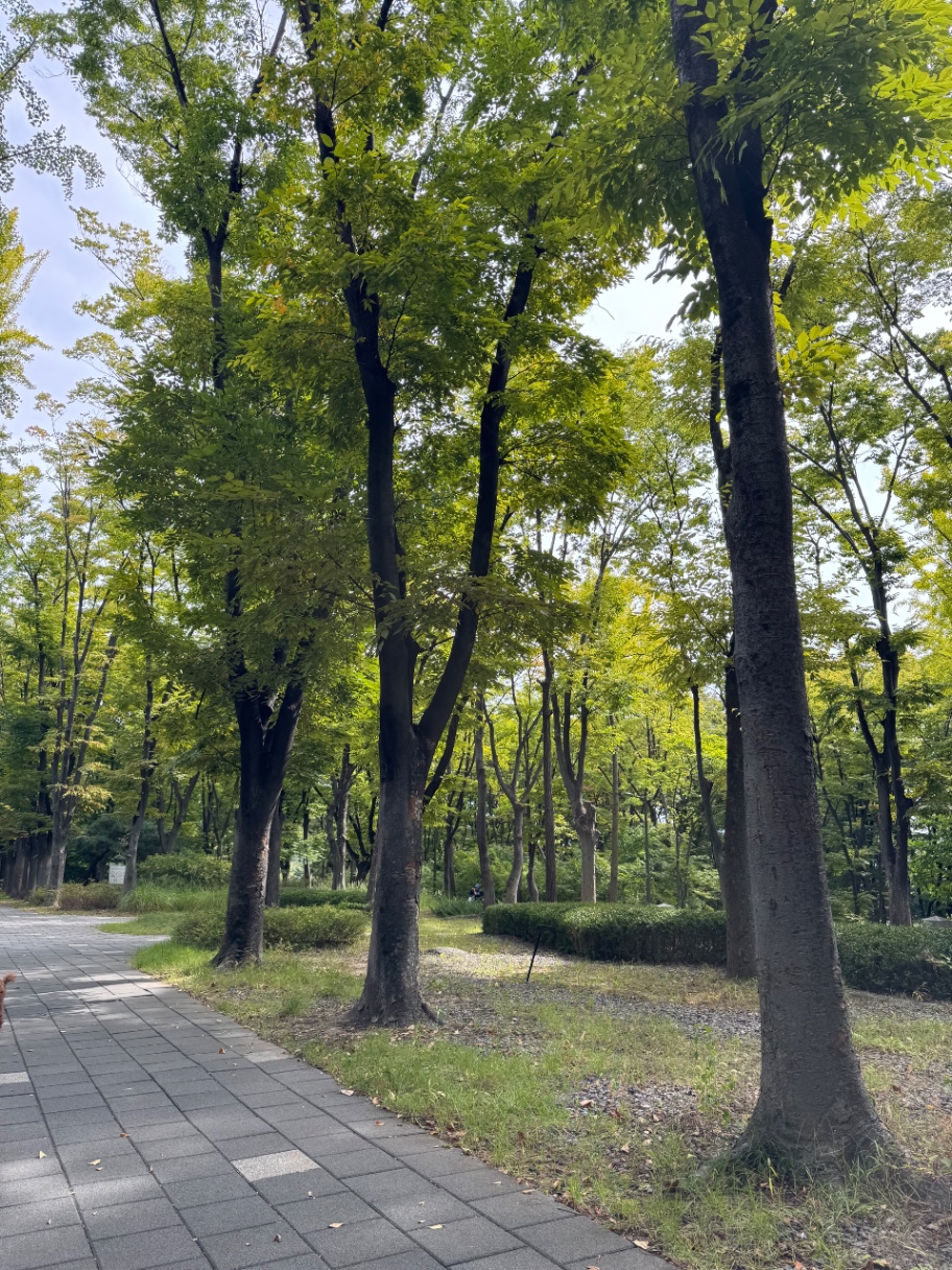 남산 산책