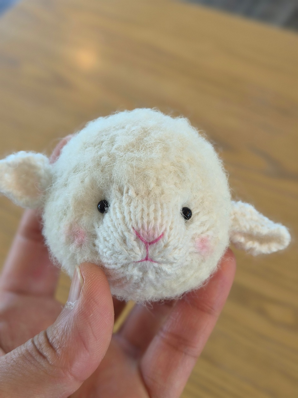 아기 양 🐑 음메~~~