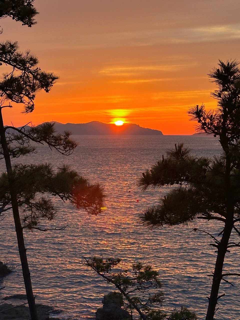 군산 신시도 자연휴양림 