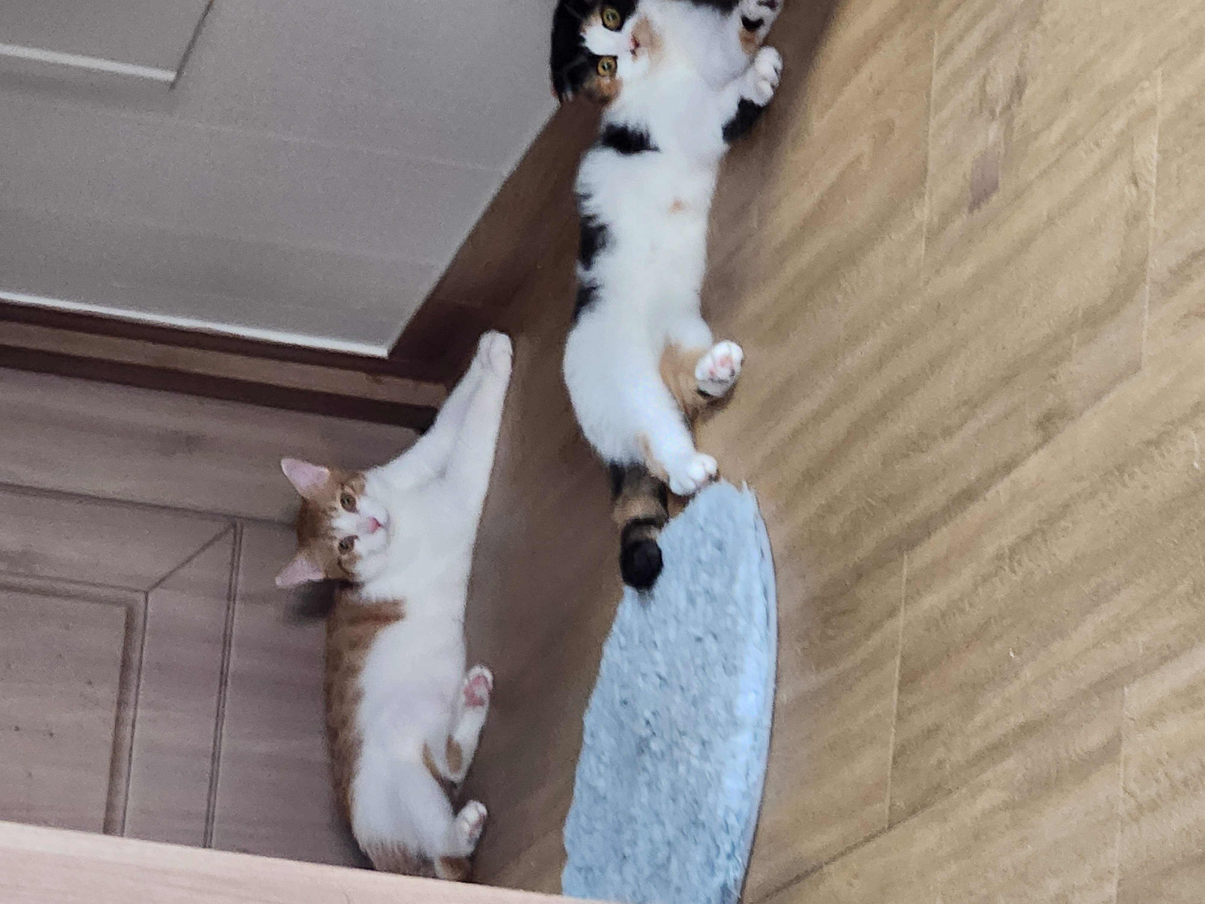 첨부파일