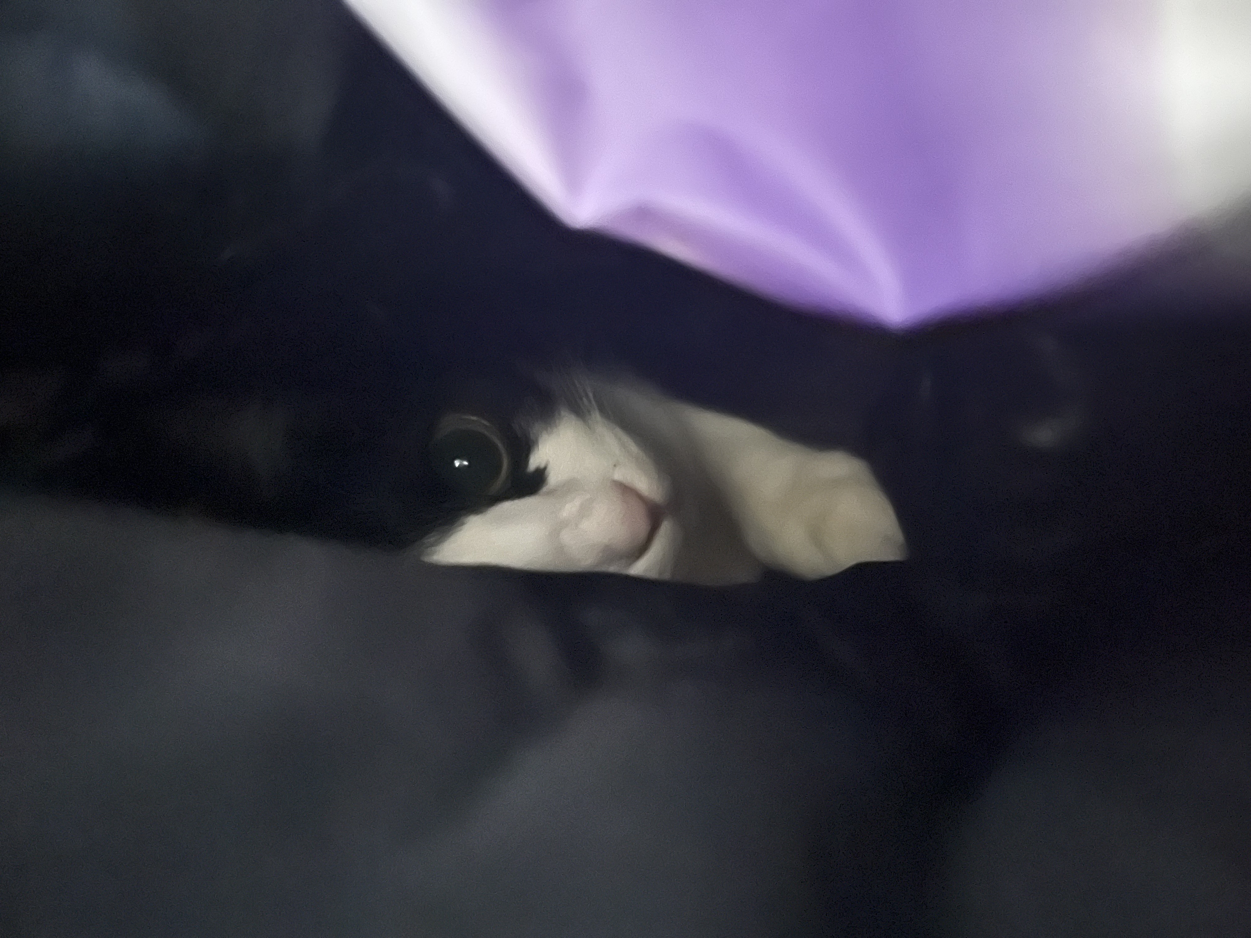 첨부파일