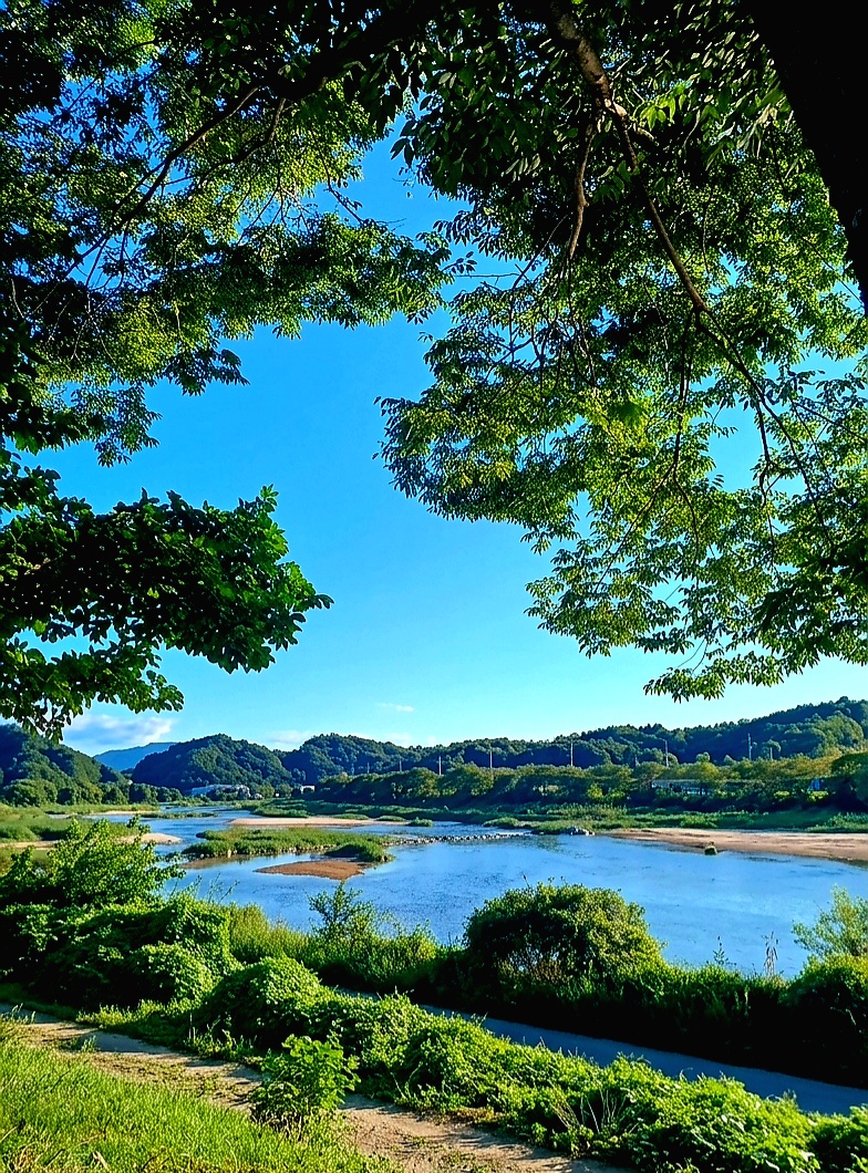 강변에서