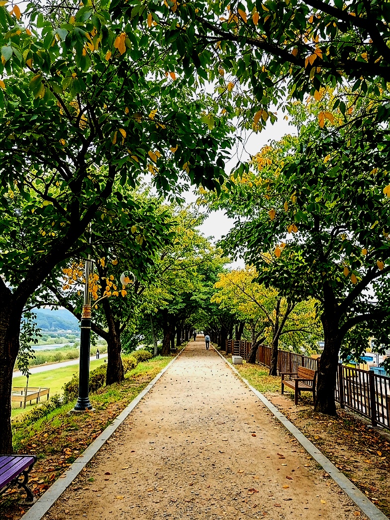 산책