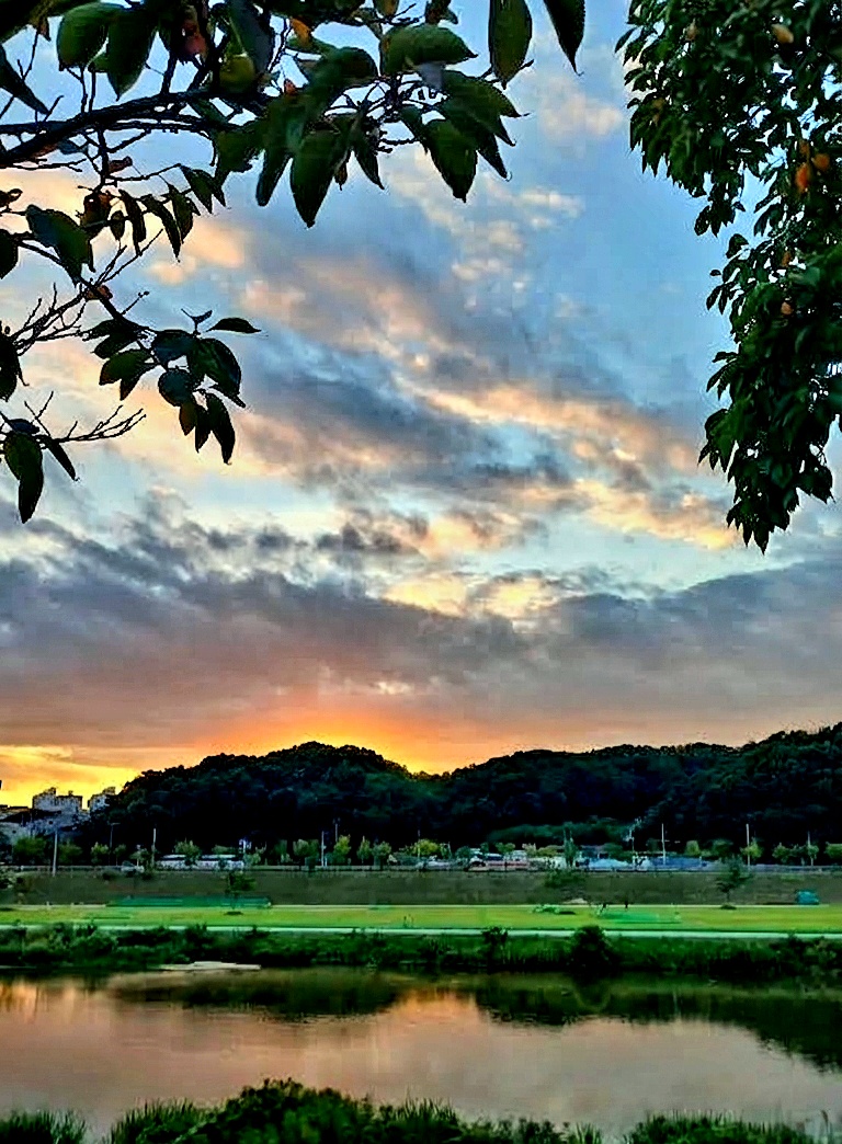 강변 산책
