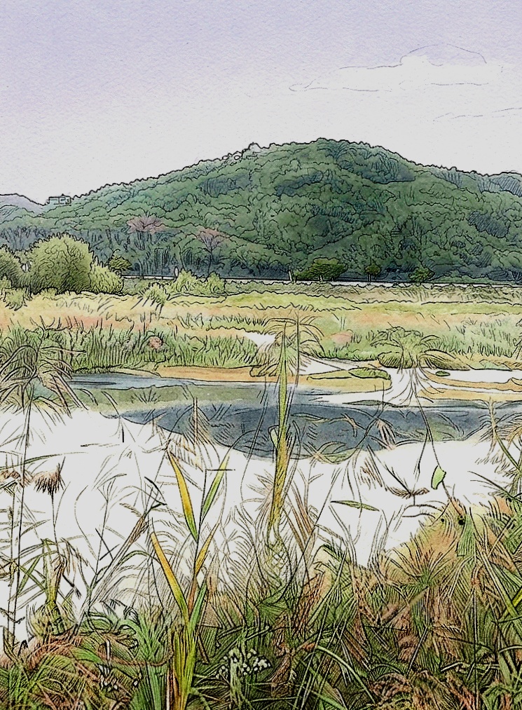 산책길에