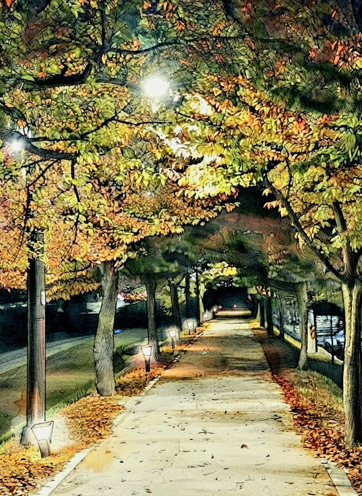 밤의 산책