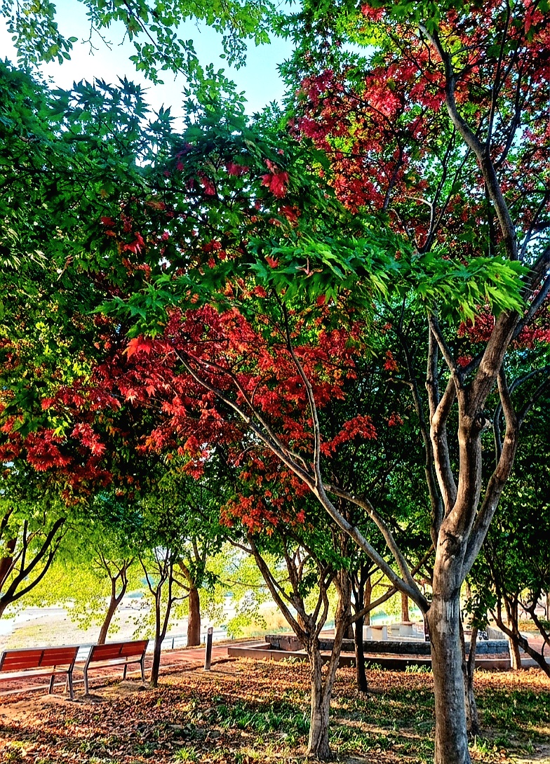 산책길에..