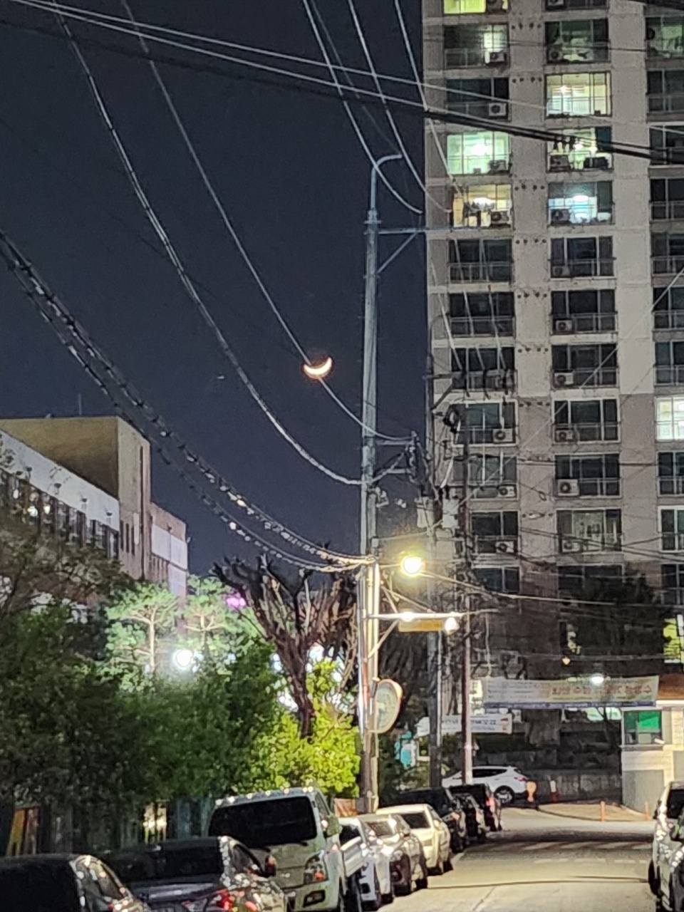 밤산책 🌛