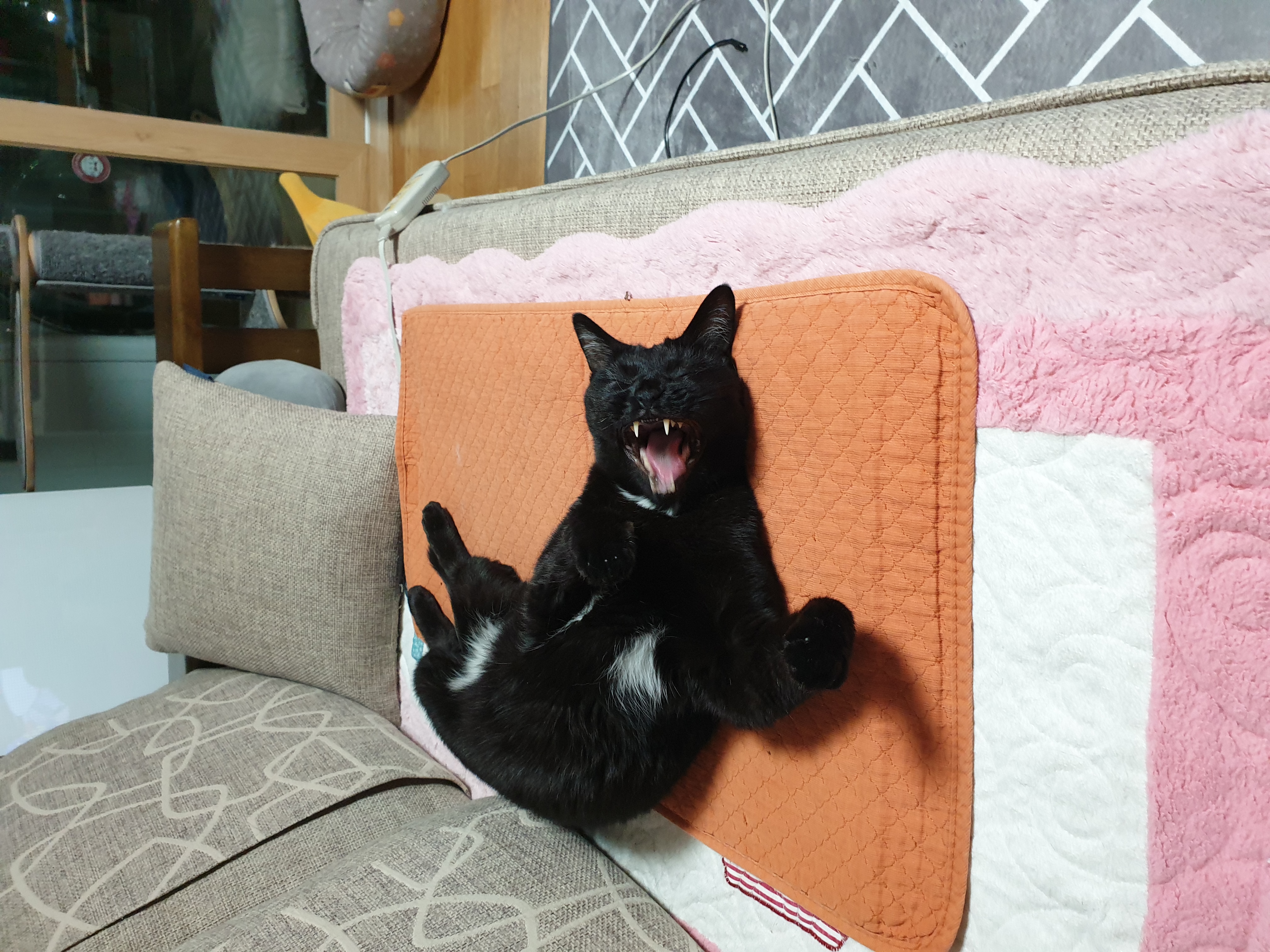 첨부파일