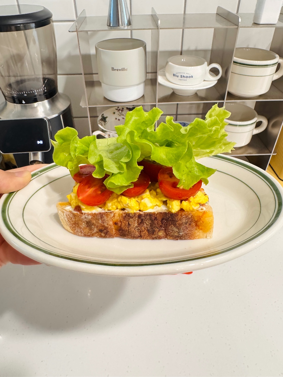 샌디치 취향 🥪