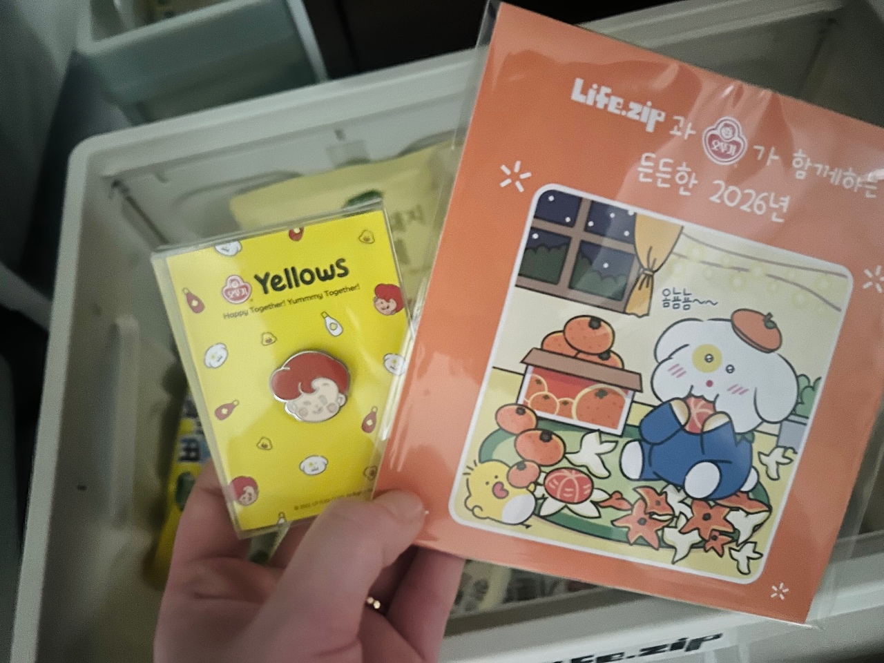 캐릭터 인형이 그려진 팜플렛과 노란색 패키지 제품