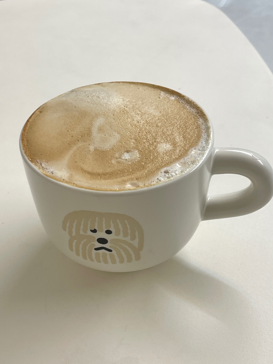 비오니깐 라떼 ☕️