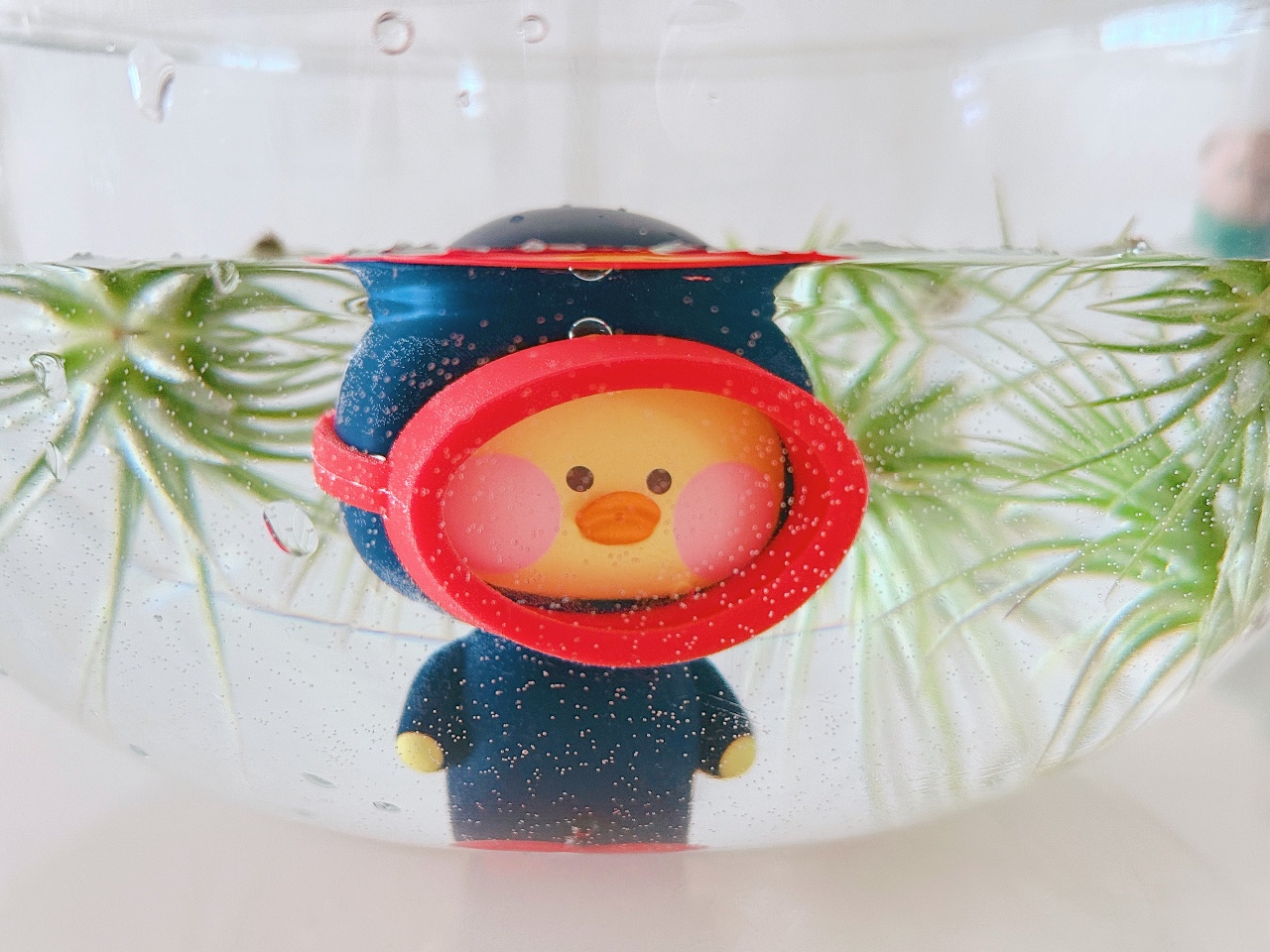 귀여운거 옆에 귀여운거 :)