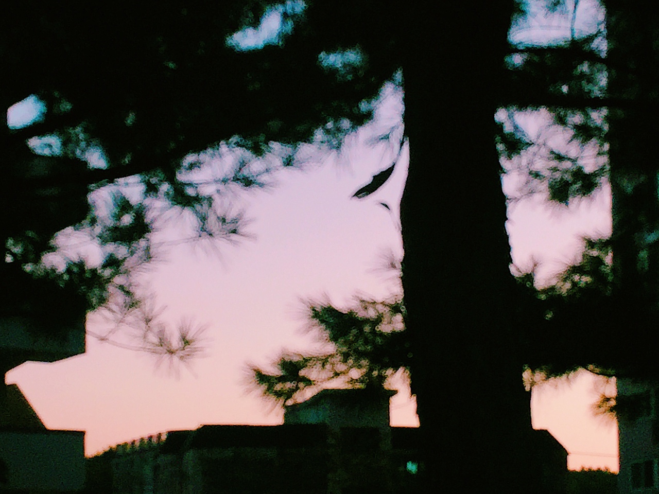 🏡 / 알레프 (ALEPH)