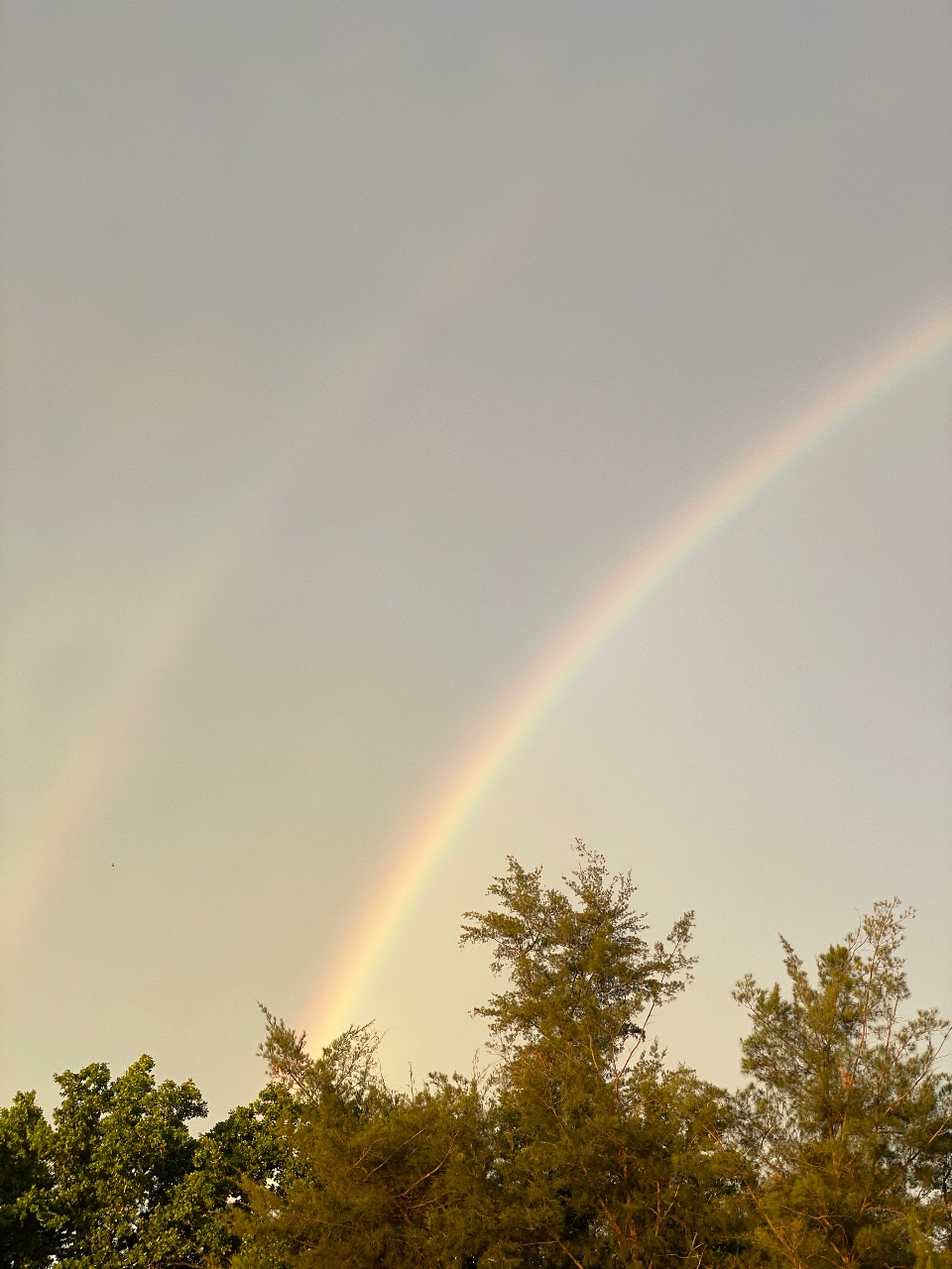 무지개 쌍무지개 🌈