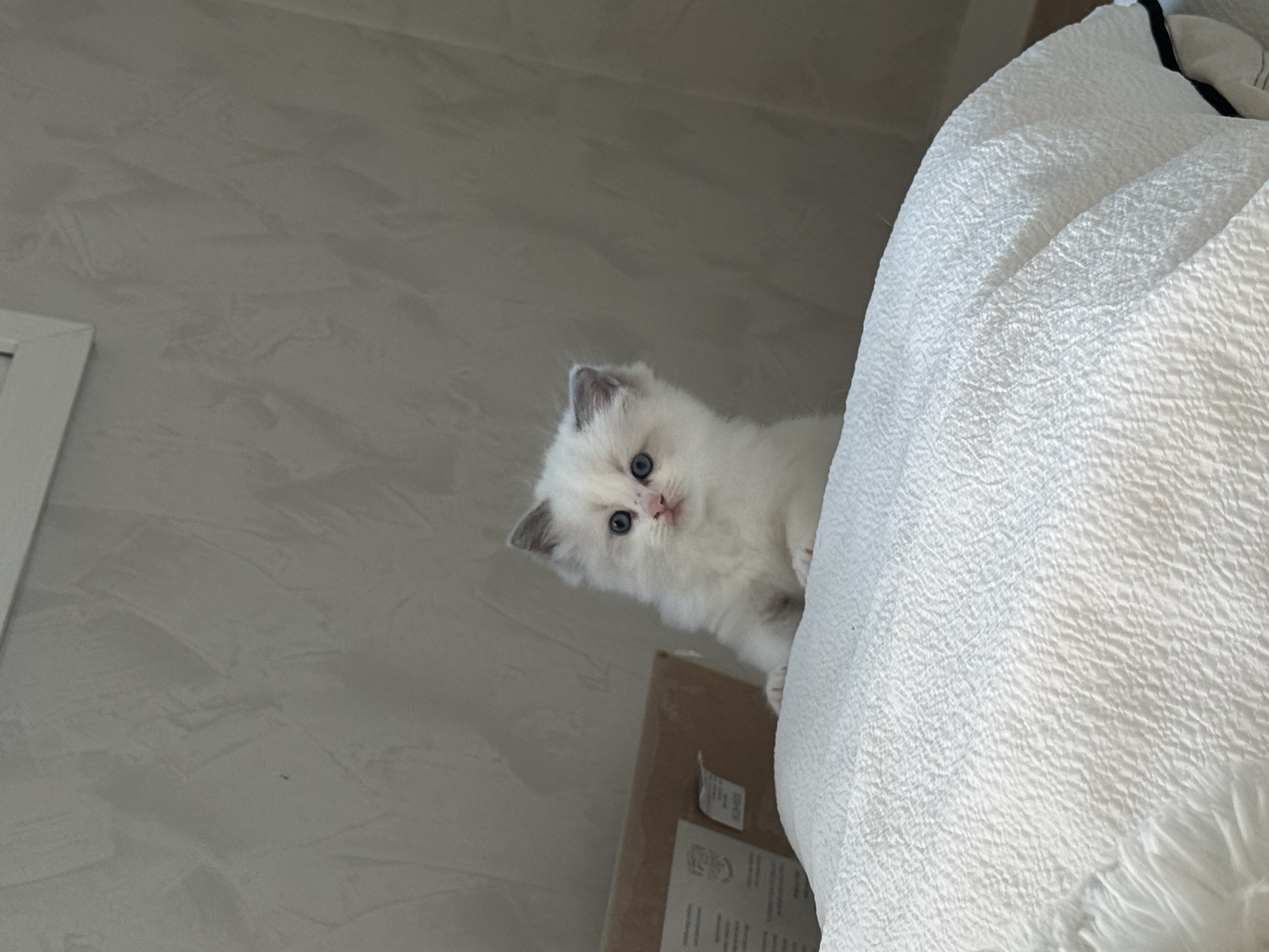 첨부파일