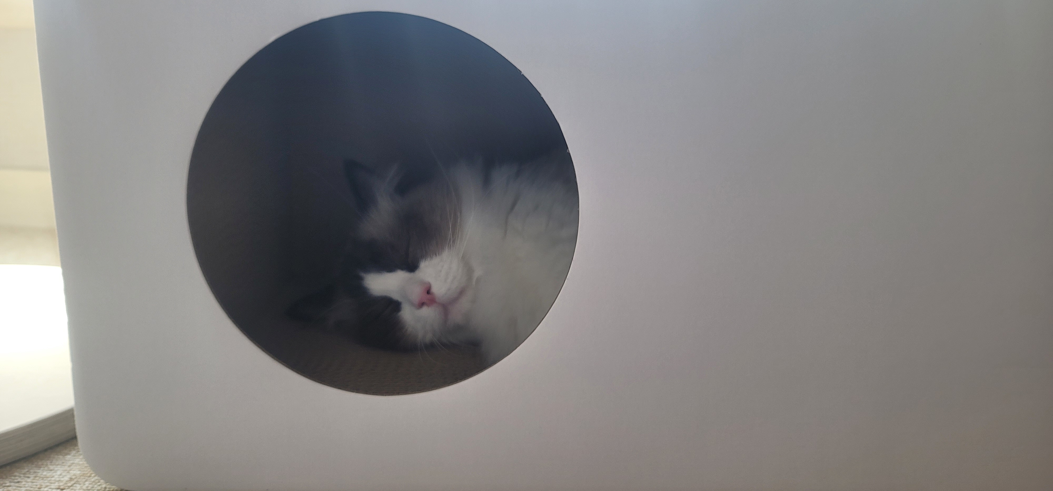 첨부파일