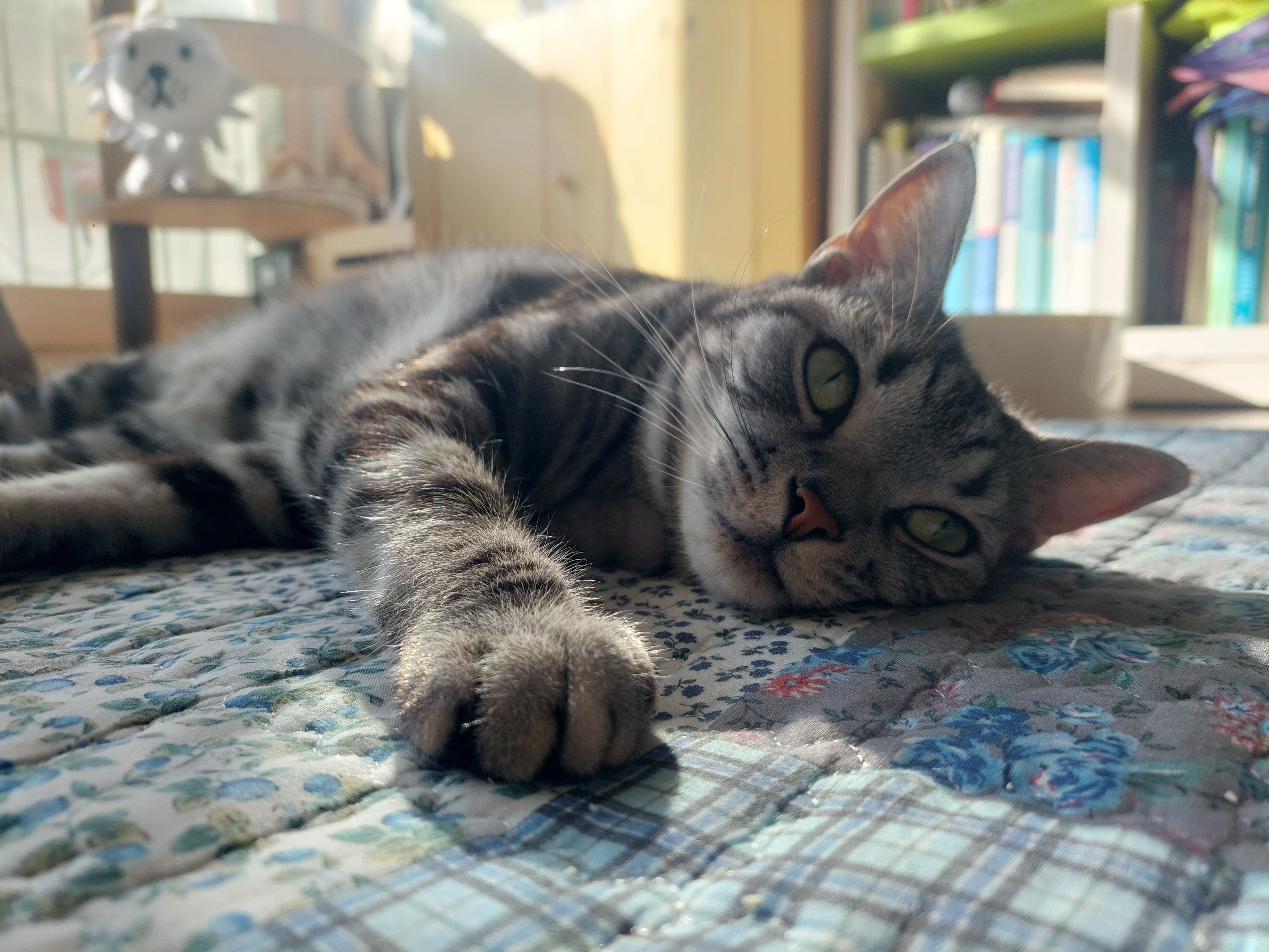 휴식