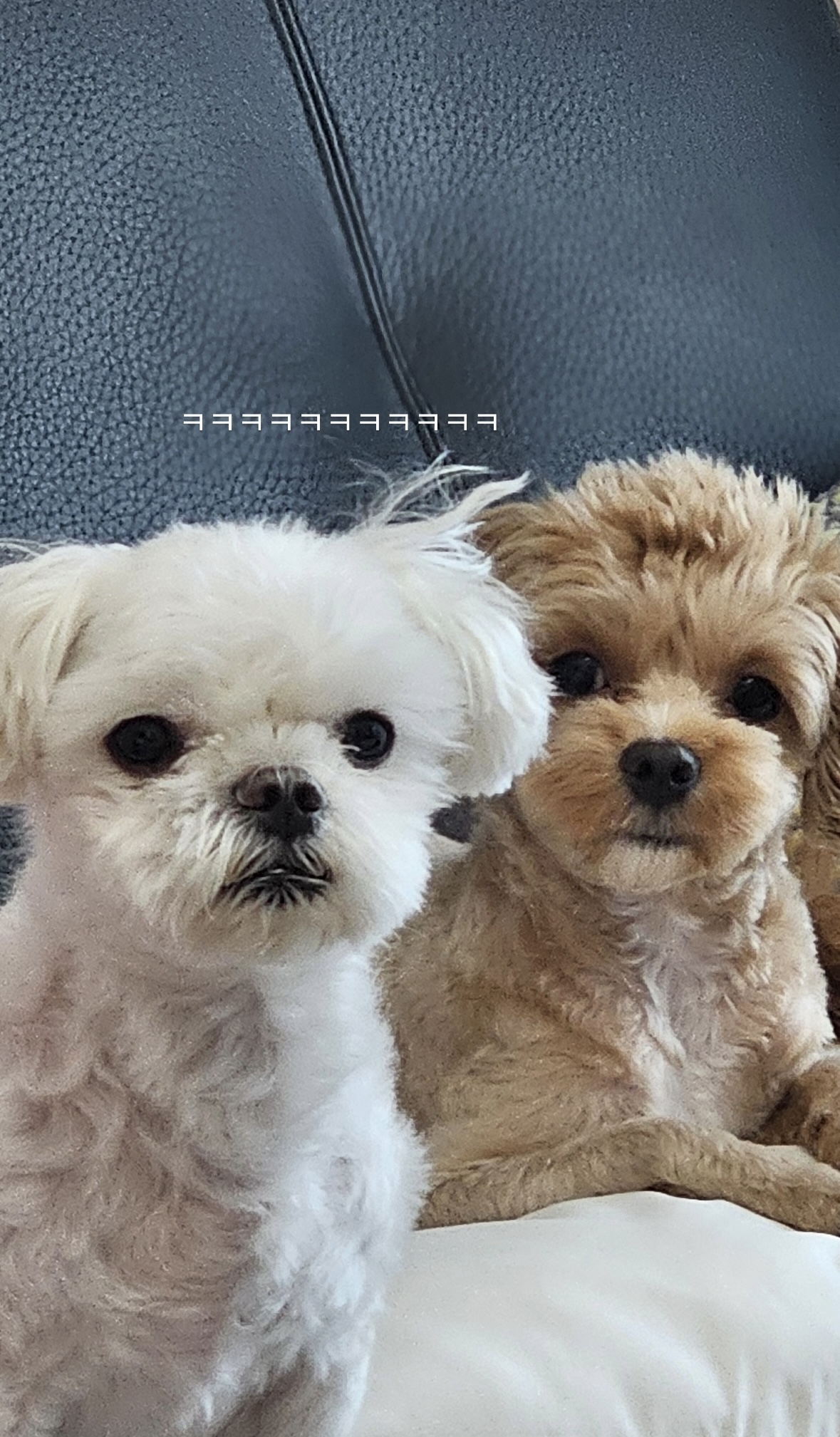 첨부파일