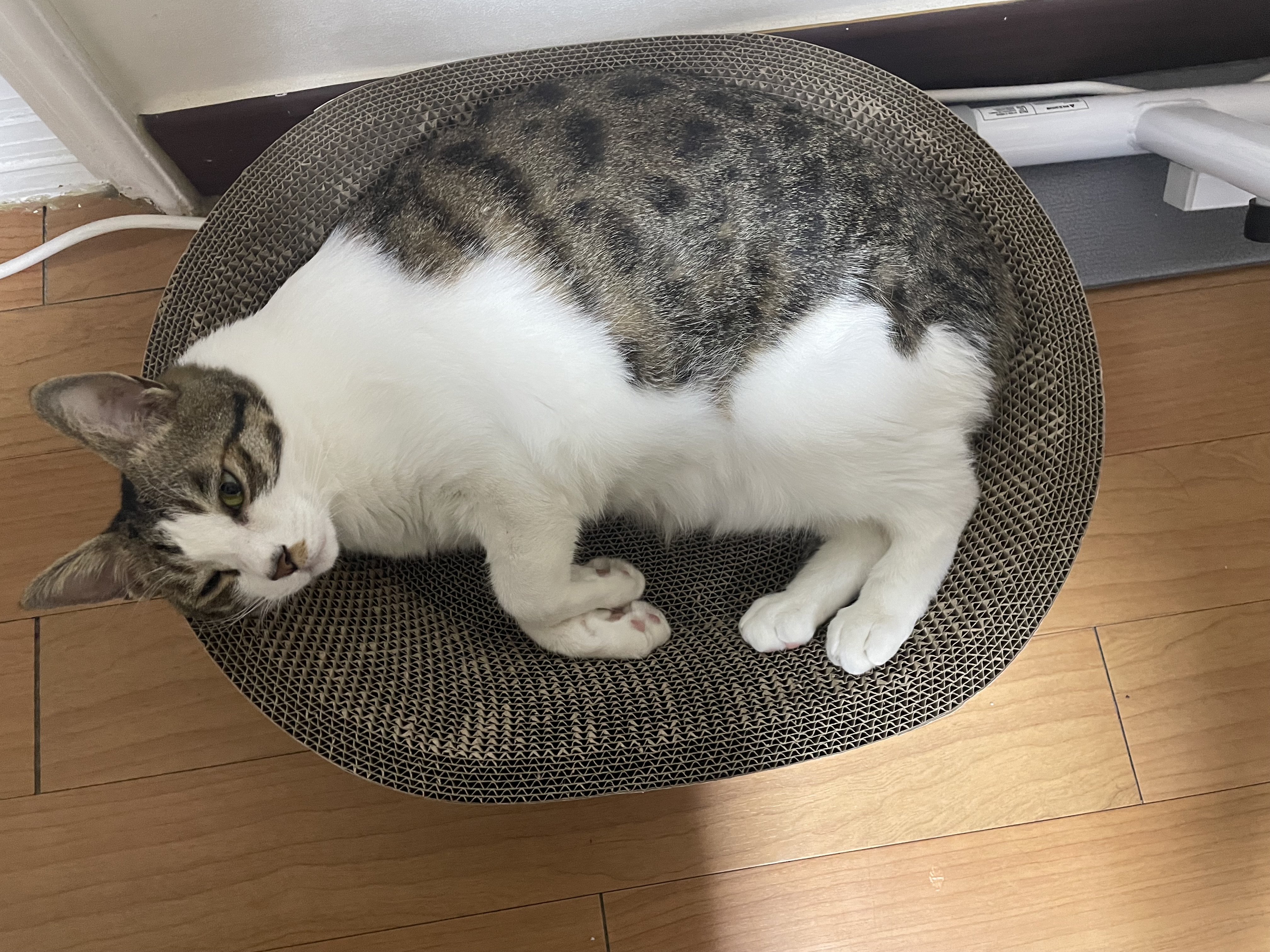 첨부파일